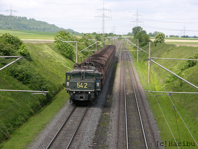 DSCN5766.jpg
