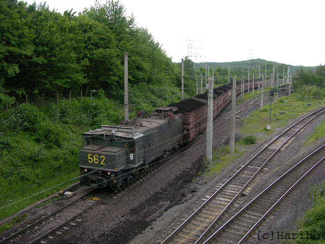 DSCN5781.jpg
