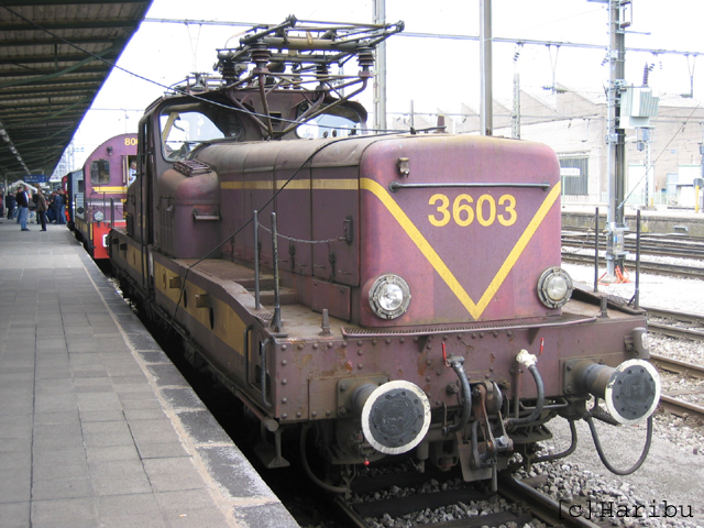 2005-05-22_138.jpg