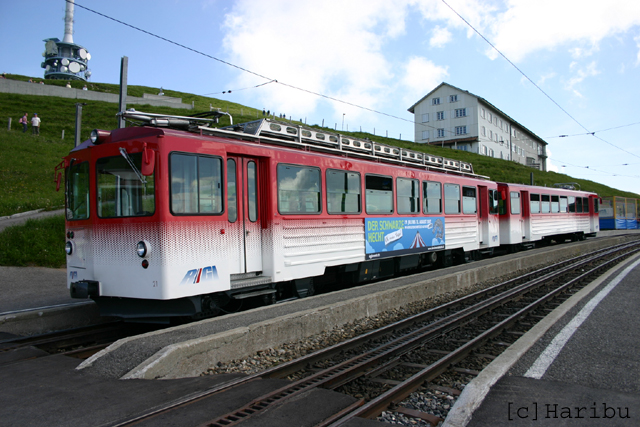 2007-06-10_003.jpg