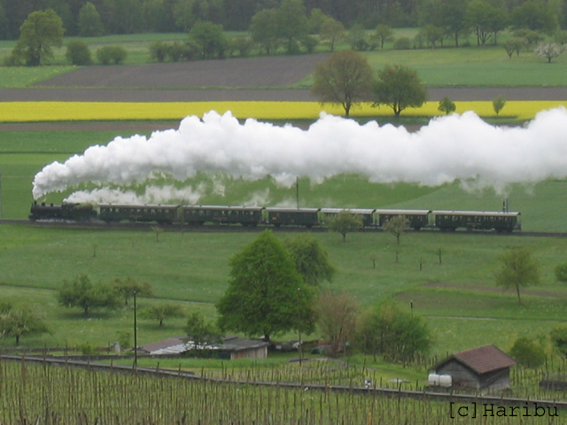 2004-05-09,_Dampfzug,_01.jpg
