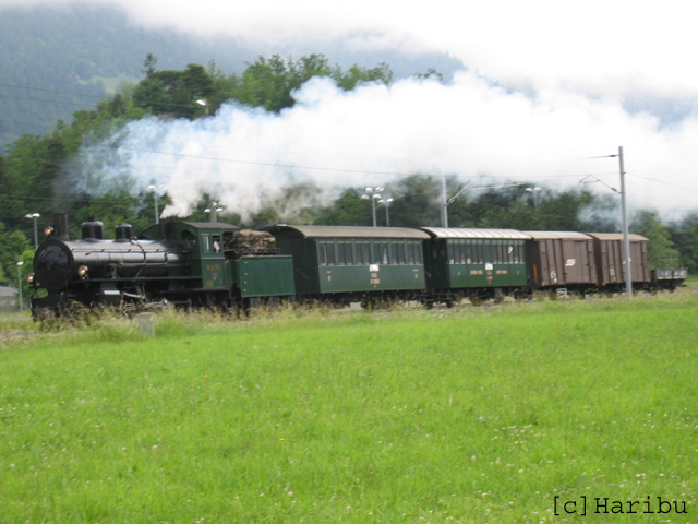 2004-06-12,_Dampfzug,_08.jpg