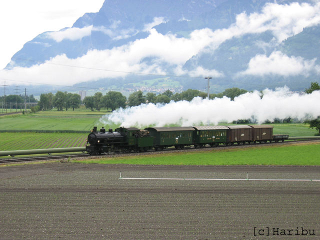2004-06-12,_Dampfzug.jpg