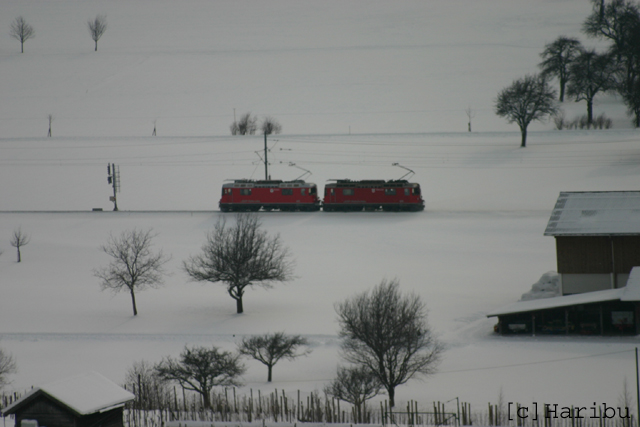 2005-01-26_003.jpg