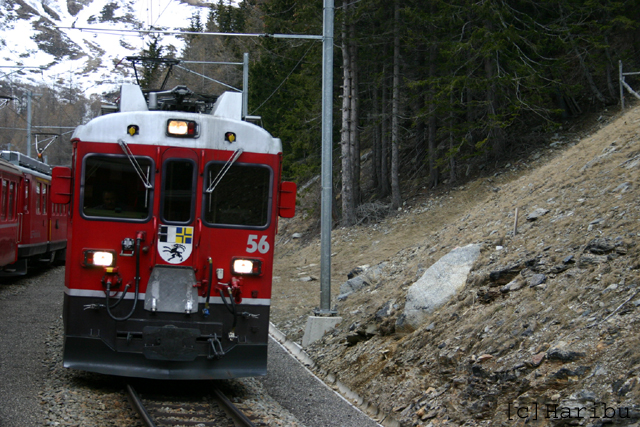 2005-03-28_001.jpg