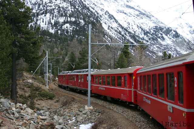 2005-03-28_017.jpg