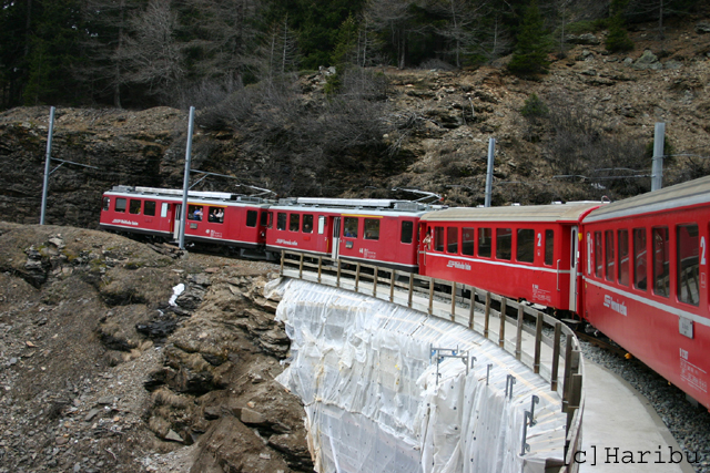 2005-03-28_083.jpg