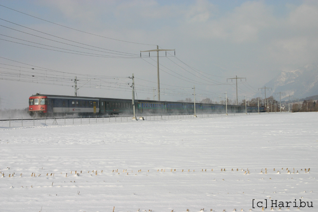 2005-01-29_004.jpg