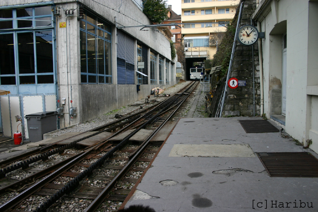 2006-01-21_013.jpg