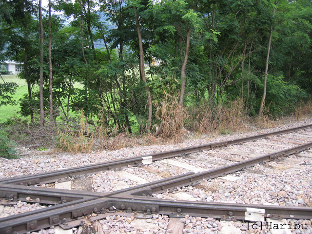 2004-08-08_022.jpg