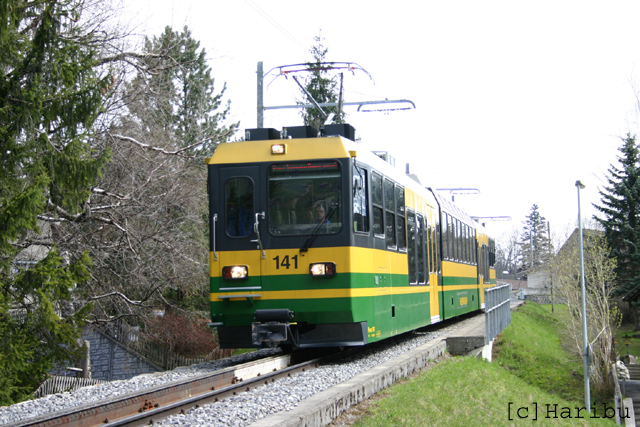 2005-04-23_129.jpg