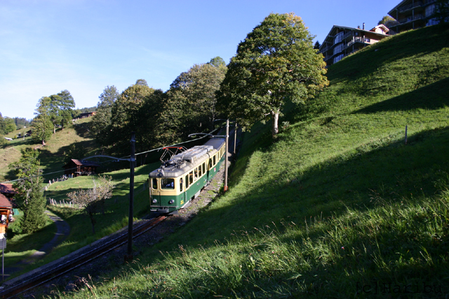 2006-10-08_013.jpg