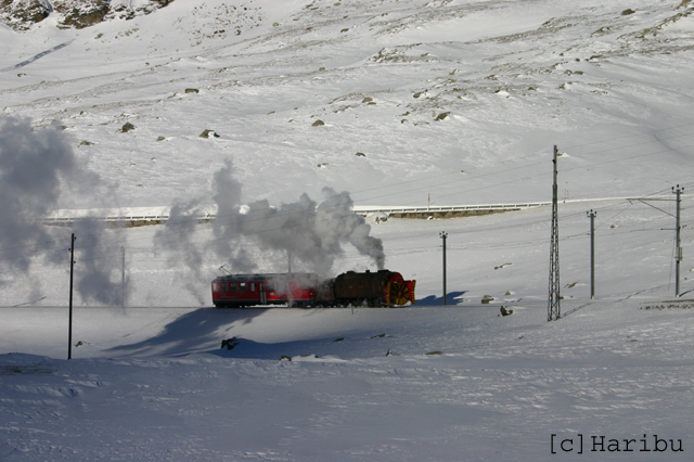2005-01-30_060.jpg