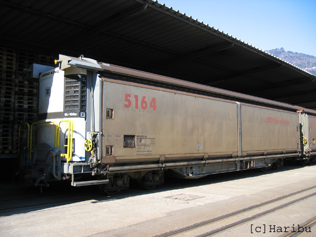 Haikqq-uy 5164
