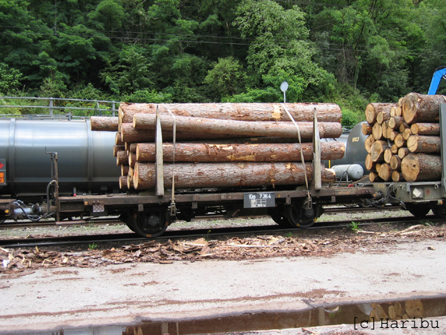 Kkp 7364
