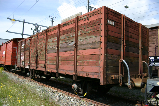 WN 9855 (E 6603)
