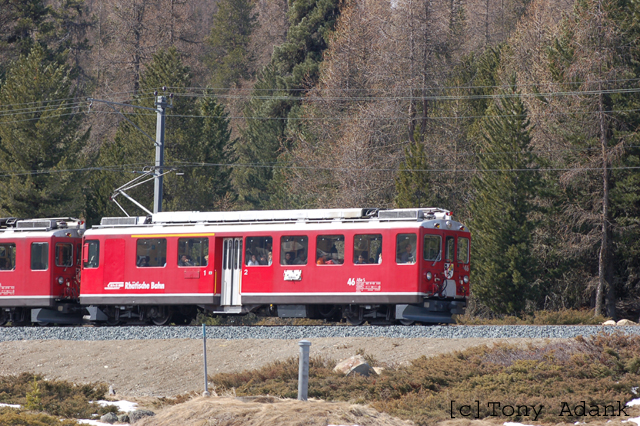DSC_ 414.jpg