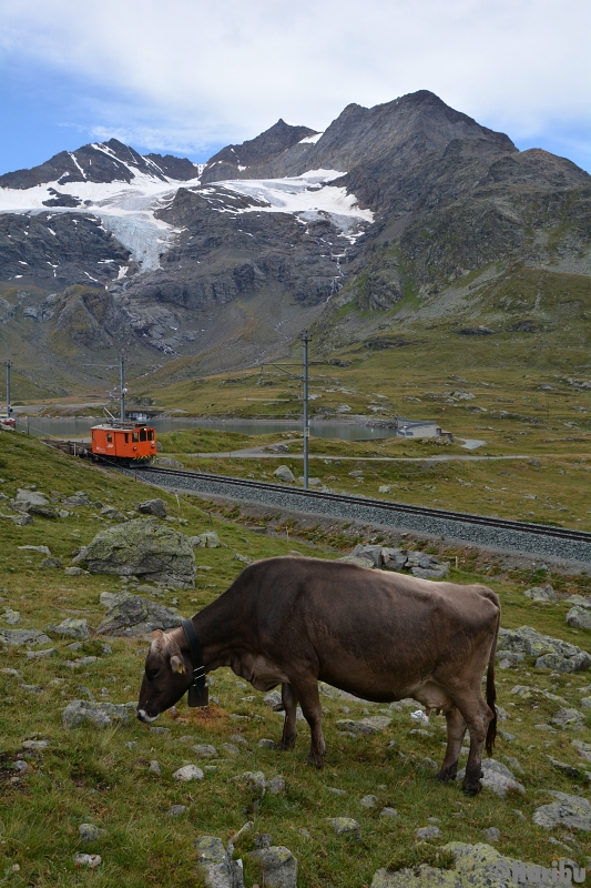 De 2/2 151
23.03.2023 Ausrangiert, Verkauf an Club 1889 / Wohlis Kutschbetrieb Pontresina
