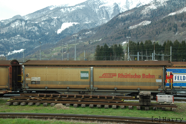 DSL_0222.jpg