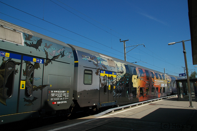 DSM_9001.jpg