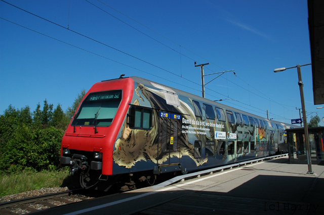 DSM_9002.jpg