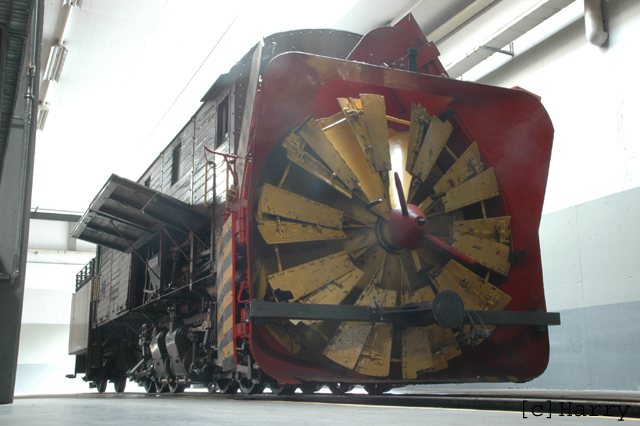 DSM_9828.jpg