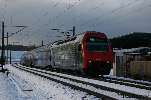 DSN_4177.jpg