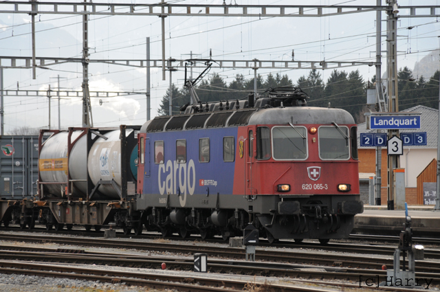 DTA_9068.jpg