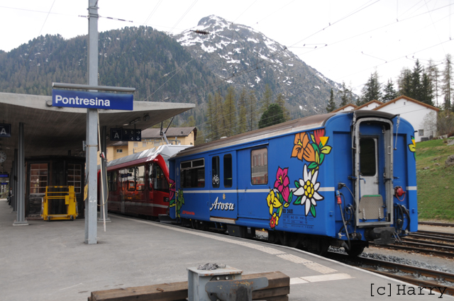 BD 2481
