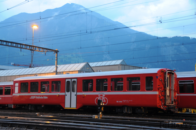 WS 3921

