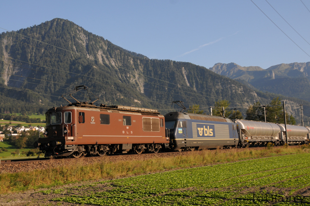 DTG_3583.jpg