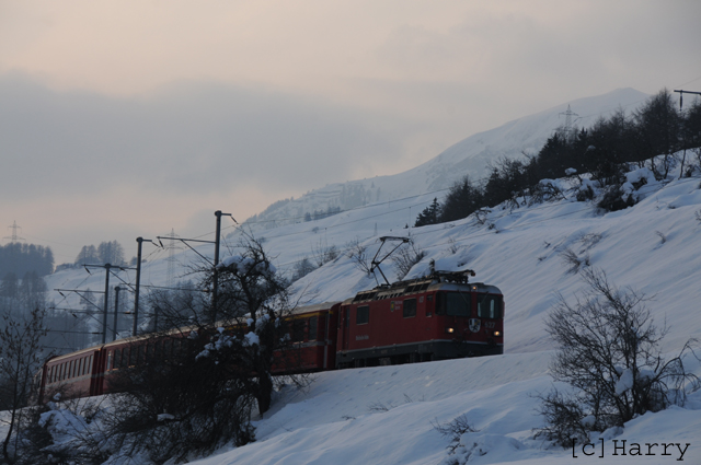 DTJ_0032.jpg