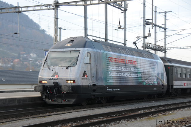 DTQ_7612.jpg