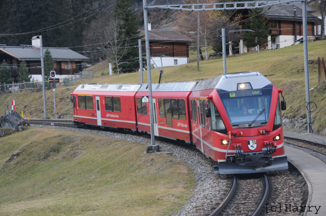 DTQ_9403.jpg