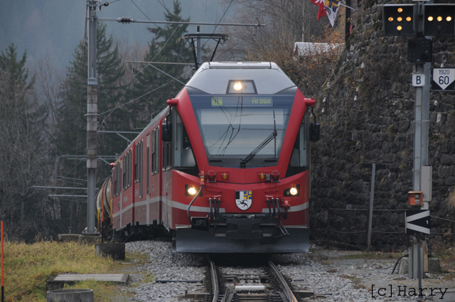DTQ_9454.jpg