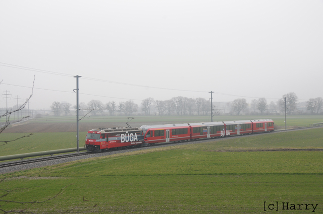 DTT_6649.jpg