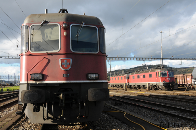 DTZ_4605.jpg