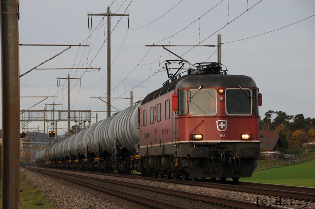 DTZ_5302.jpg