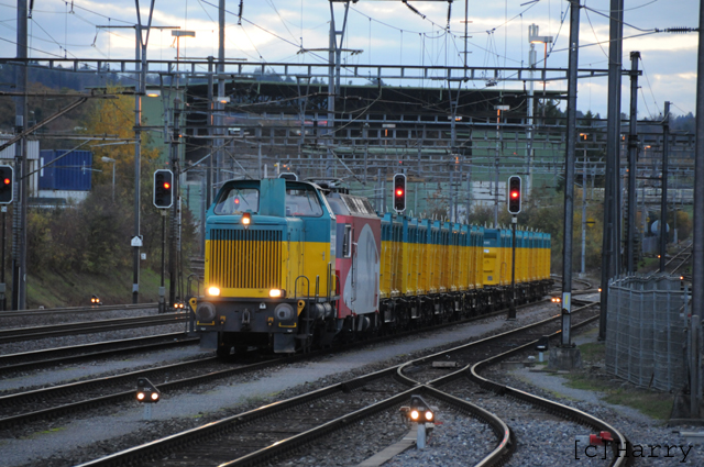 DTZ_5490.jpg