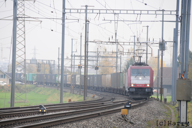 DTZ_6440.jpg