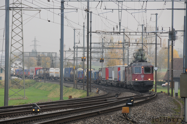 DTZ_6498.jpg
