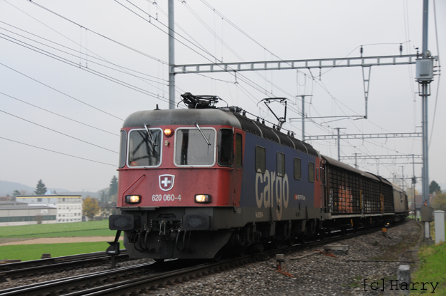 DTZ_6639.jpg