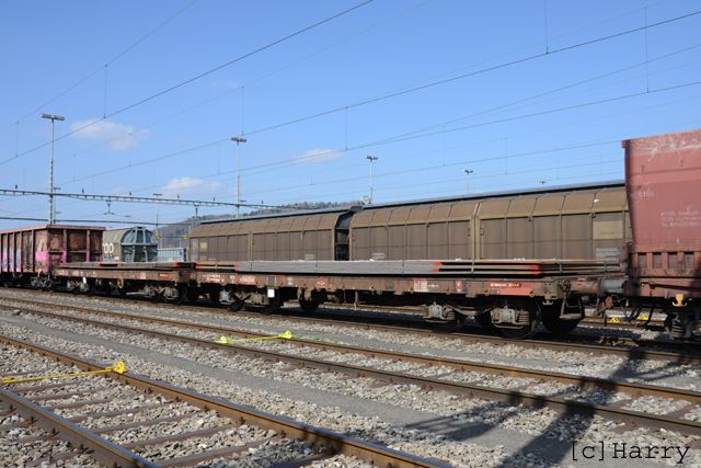 DUB_9992.jpg