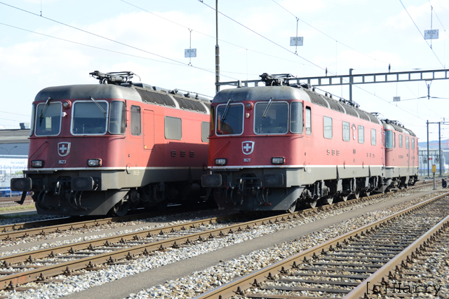 DUC_0067.jpg