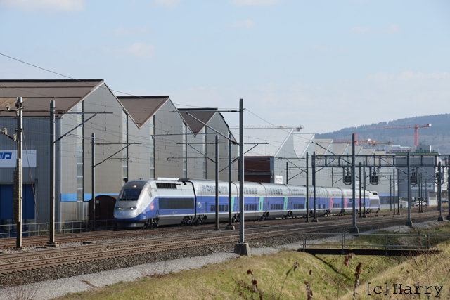 DUC_0073.jpg