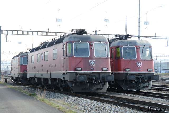 DUC_0080.jpg