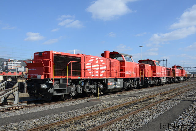 DUC_0119.jpg