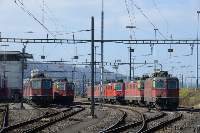 DUC_0131.jpg