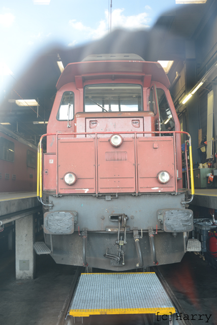 DUC_0138.jpg