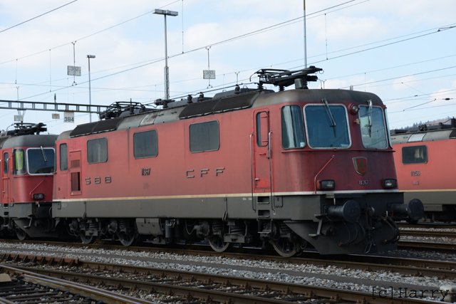 DUC_0172.jpg